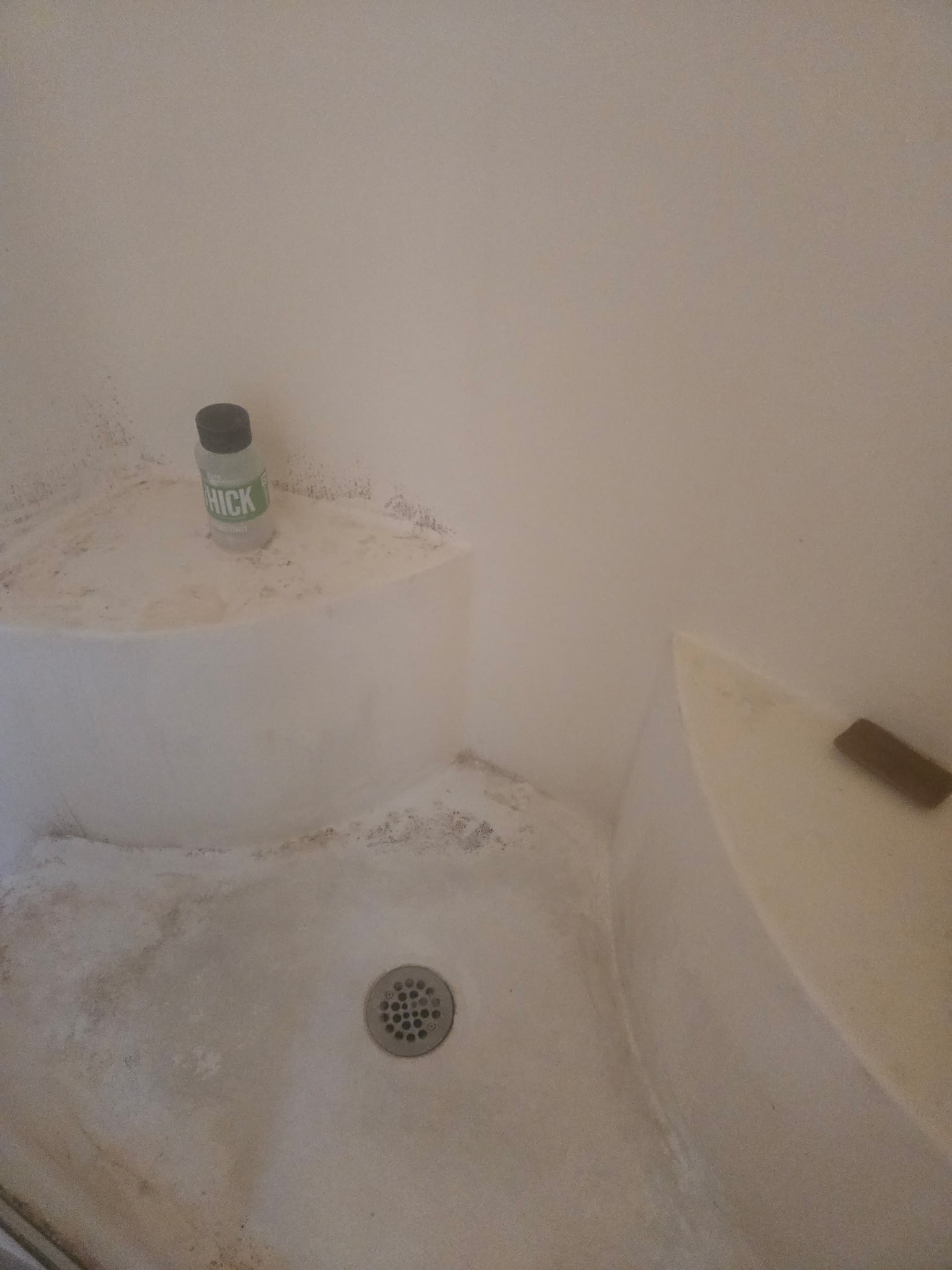 Shower before detailed bathroom cleaning